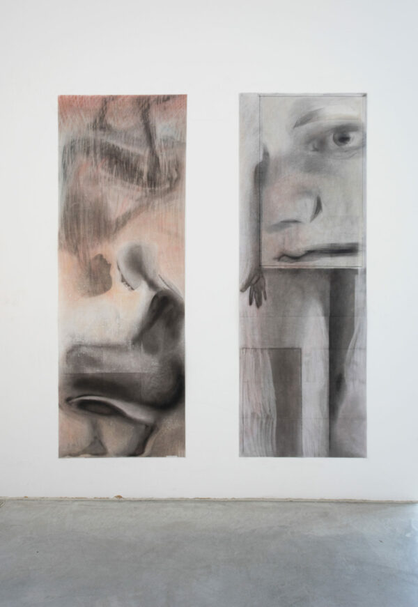Evelyn Plaschg